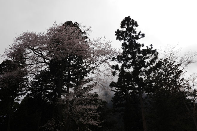 DSC_1204Minobu