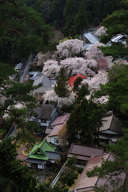 DSC_1209Minobu