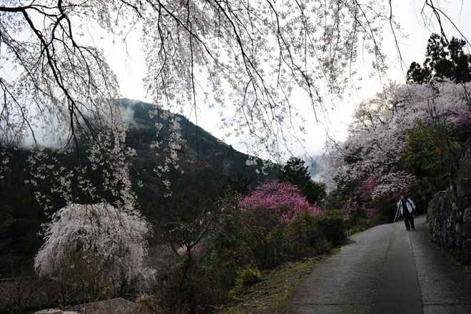 DSC_1210Minobu