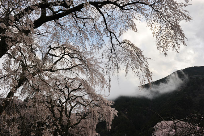 DSC_1211Minobu