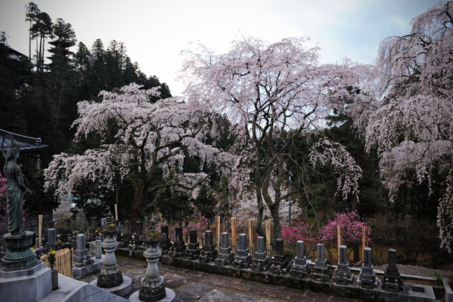 DSC_1246Minobu
