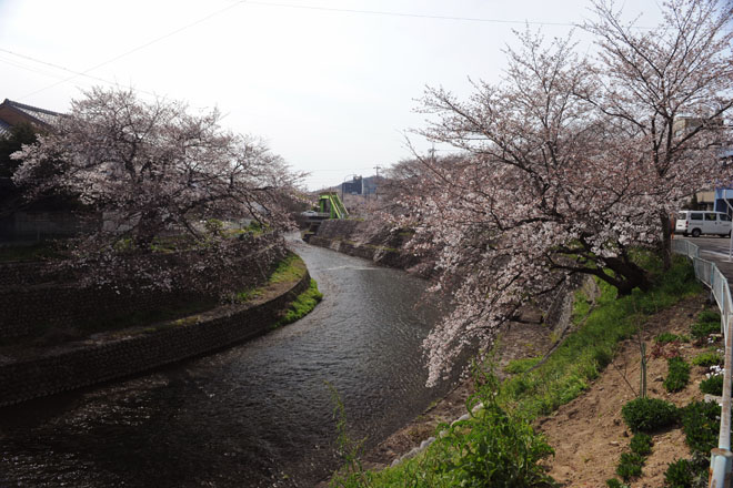 DSC_1295Inuyama