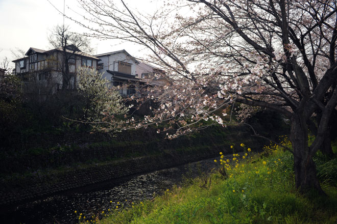 DSC_1305Inuyama