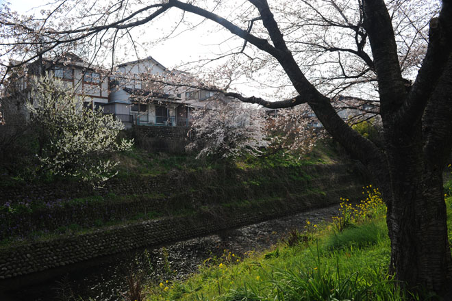 DSC_1306Inuyama