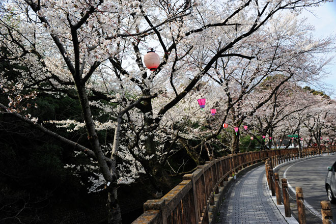 DSC_1322Inuyama