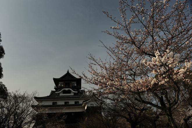 DSC_1330Inuyama