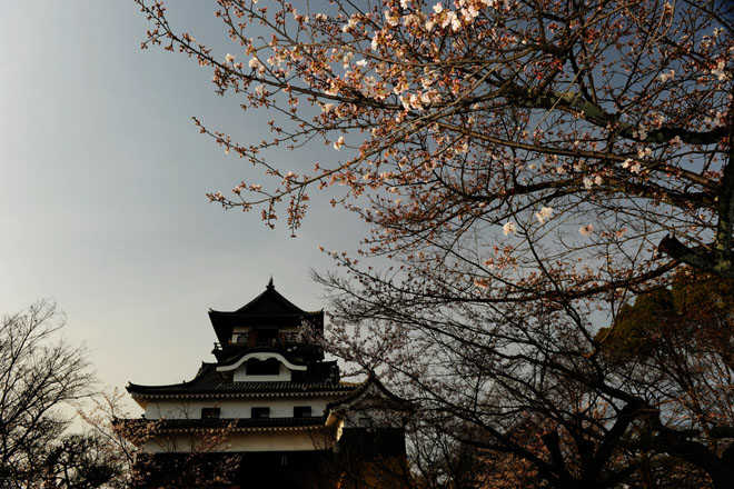 DSC_1333Inuyama