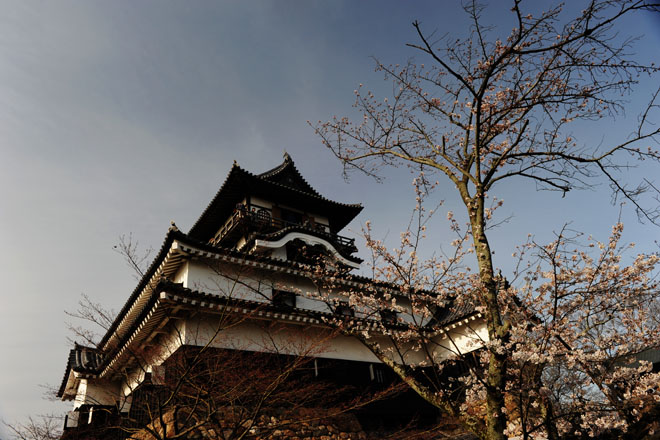 DSC_1335Inuyama