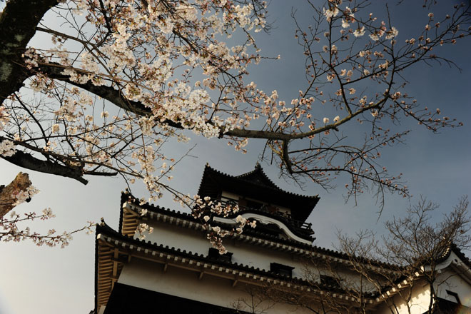 DSC_1337Inuyama