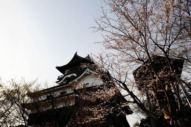 DSC_1339Inuyama