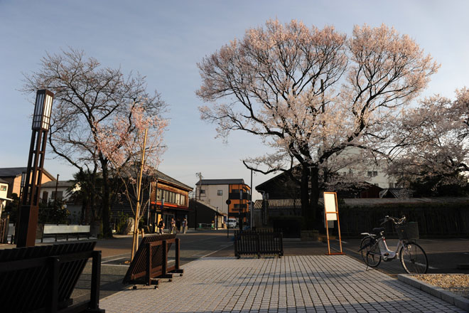 DSC_1344Inuyama