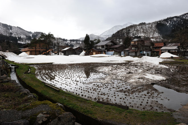 DSC_1854Shirakawa-go
