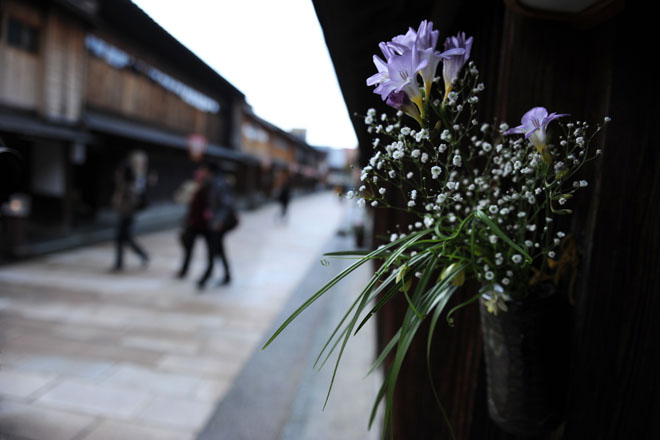 DSC_2324Kanazawa