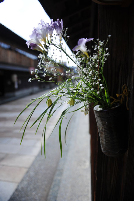 DSC_2328Kanazawa