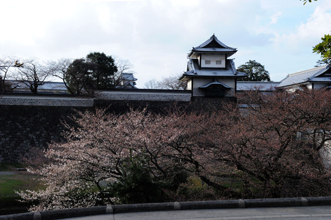 DSC_2429Kanazawa
