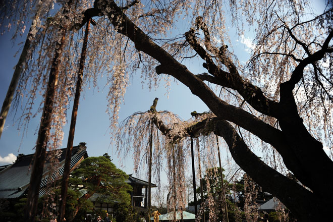 DSC_2736Minobu