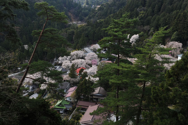 DSC_2757Minobu