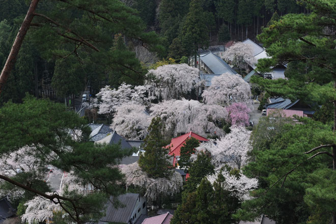 DSC_2762Minobu