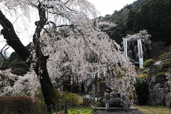 DSC_2768Minobu