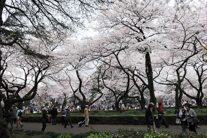DSC_2907Tokyo