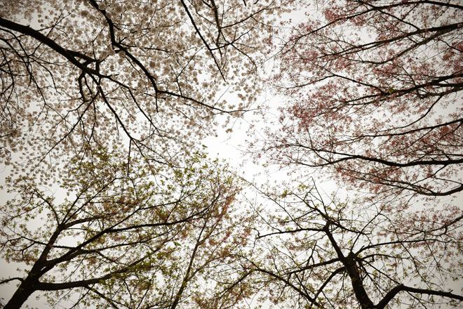 DSC_2945Tokyo