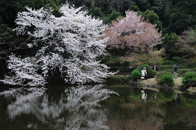 DSC_2966Tokyo