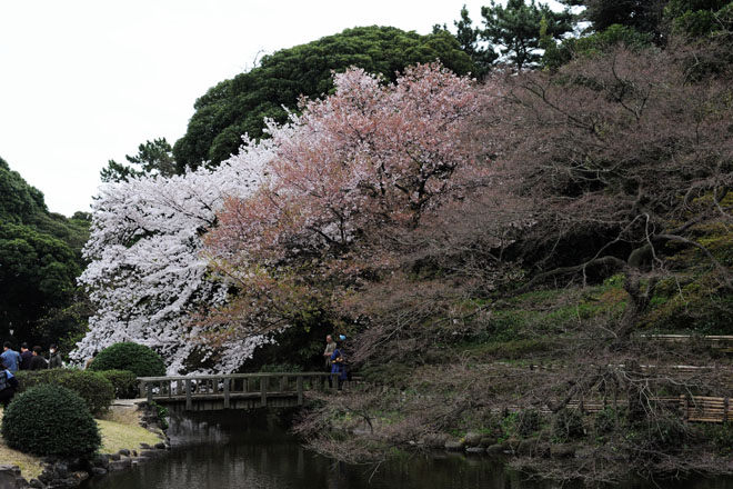 DSC_2987Tokyo