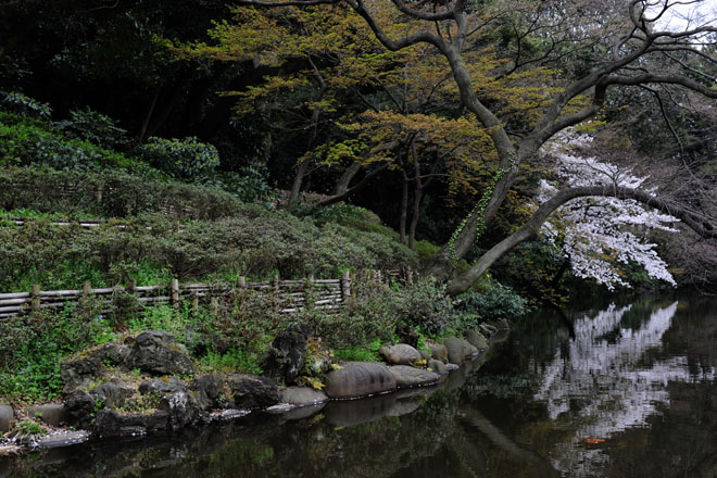 DSC_3055Tokyo