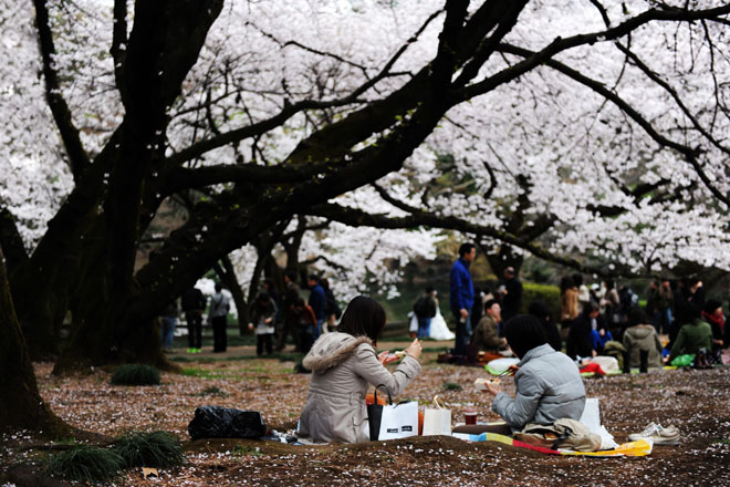 DSC_3080Tokyo