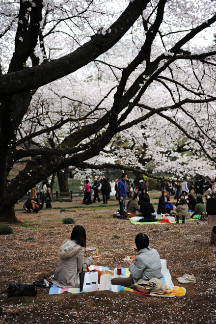 DSC_3084Tokyo