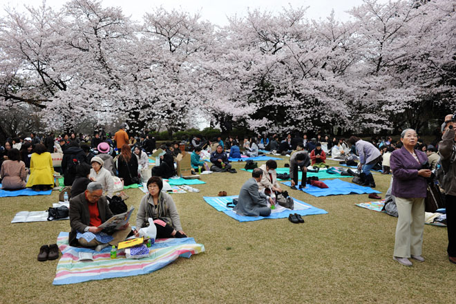 DSC_3088Tokyo