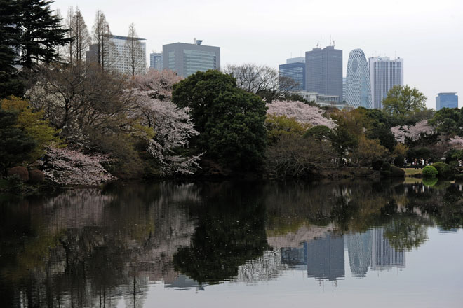 DSC_3123Tokyo