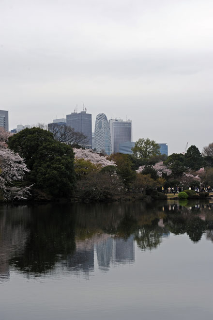 DSC_3127Tokyo