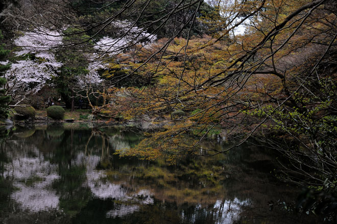 DSC_3154Tokyo