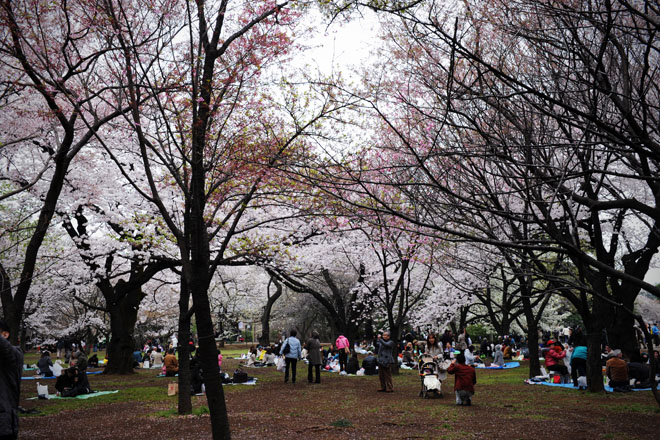 DSC_3186aTokyo