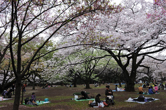 DSC_3191Tokyo