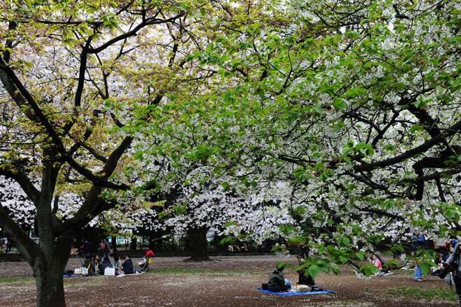DSC_3200Tokyo