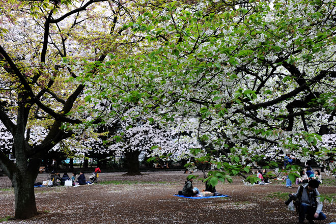 DSC_3201Tokyo