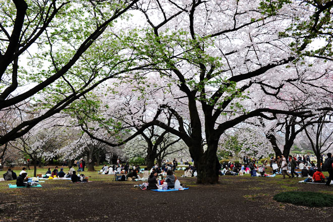 DSC_3221Tokyo