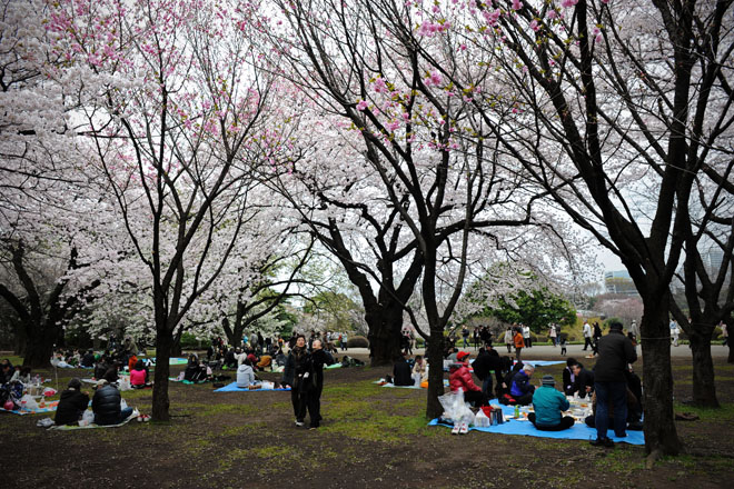 DSC_3233Tokyo