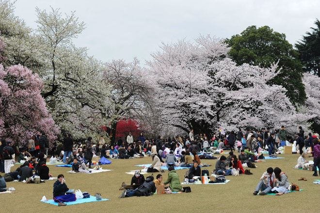 DSC_3325Tokyo