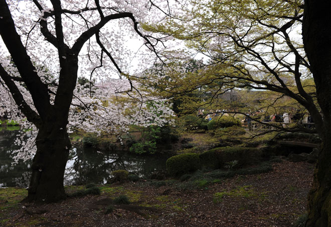 DSC_3329Tokyo
