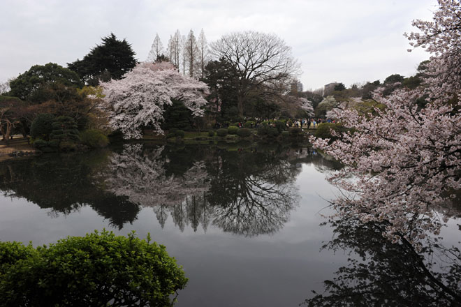 DSC_3365Tokyo