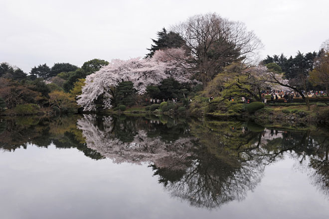 DSC_3382Tokyo