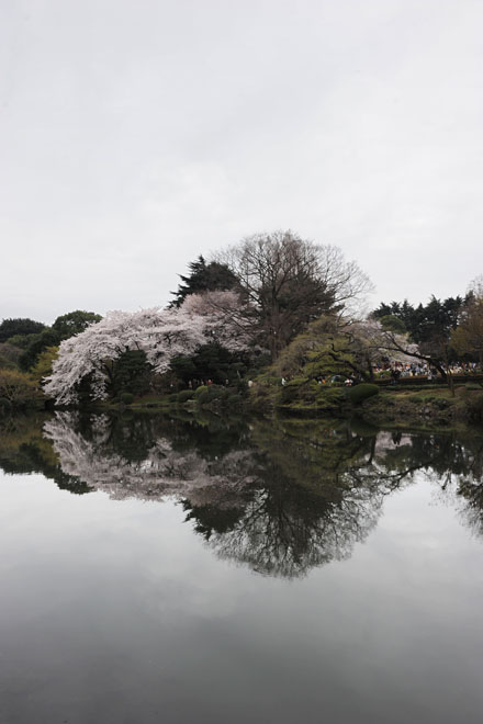 DSC_3385Tokyo