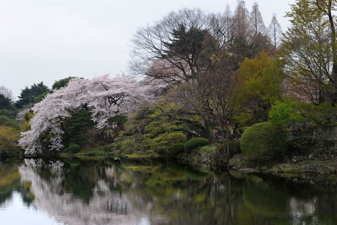 DSC_3392Tokyo