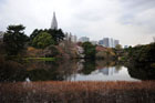 DSC_0243Tokyo