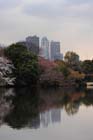 DSC_0266Tokyo