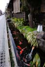 DSC_0747Kawagoe