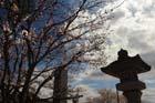 DSC_1092Kofu